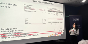 Yaller energía Maipú Andrea Mendez de Educa Sostenible enseña a hacer un Diagnóstico Energético a ecoeducadores de Maipú