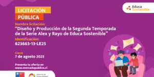 Licitacion Licitacion