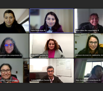 Taller online de gestion energética enn Curicó
