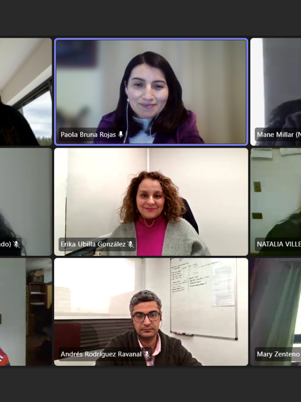 Taller online de gestion energética enn Curicó