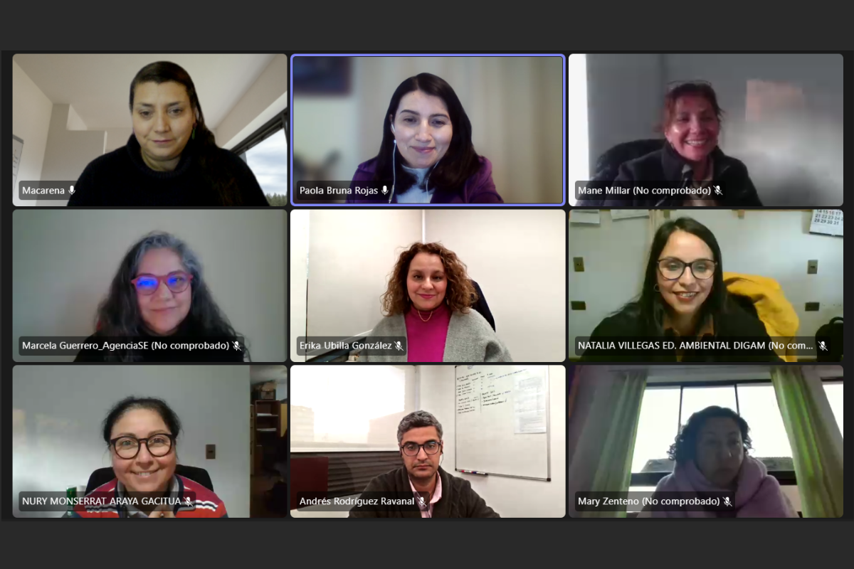Taller online de gestion energética enn Curicó