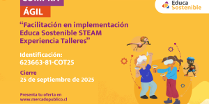 licitaciones (768 x 430 px) (1080 x 1350 px) (1200 x 800 px) Compra Servicio talleres VR